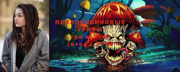 таблы Новозыбков