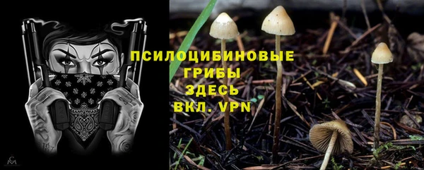 таблы Новозыбков