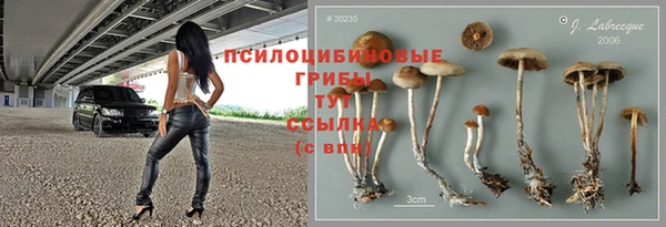 таблы Новозыбков